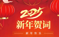 mg冰球突破官网入口集团董事长张龙义2025年新年致辞